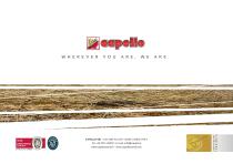 Helianthus-4