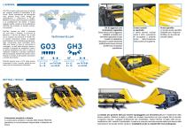 G03-GH3 - TESTATE GIRASOLE-3