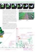 robocrop inrow - 3