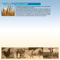 Systèmes de broyage et de mélange-2