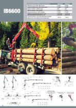 Forestal Loaders - 10