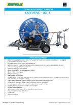 EXECUTIVE – IG1.1-1