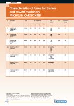 MICHELIN CargoXBib and XP 27-3