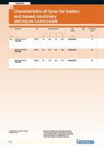 MICHELIN CargoXBib and XP 27-7