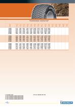 MICHELIN CargoXBib and XP 27-8