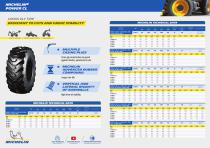 MICHELIN® POWER CL-2