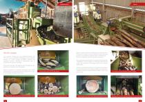 EQUIPEMENTS PROFESSIONNELLES POUR LA PRODUCTION DE BOIS DE CHAUFFAGE - 5