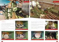 PROFESSIONAL EQUIPMENTS FOR THE FIREWOOD PROCESSING - 5