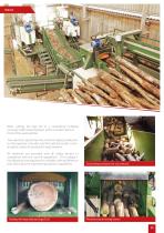 PROFESSIONAL EQUIPMENTS FOR THE FIREWOOD PROCESSING-15