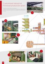 PROFESSIONAL EQUIPMENTS FOR THE FIREWOOD PROCESSING-8