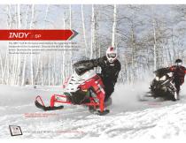 2015 Snowmobiles-14