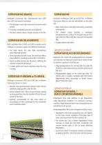 Sotrafa - Company Brochure - 11