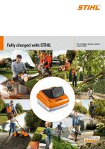 cordless power system-1
