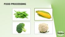 Food Processing - 8