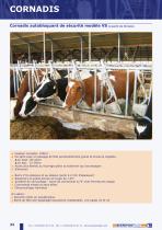 CORNADIS-4