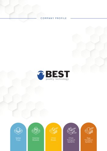 BEST - Company Profile