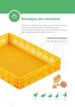 BEST - Perfil de la empresa-6