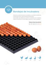 BEST - Perfil de la empresa-4