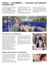 Call-Inn pro & CallMatic pro eletronic sow feeding systems - 2