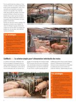 Produits PureLine | Solutions de bien-être animal - 6