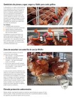 Sistema configurable de cinta de estiércol para gallinas ponedoras-3