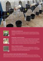 Catalog-5
