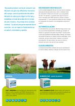KNZ Leaflet Beef-2