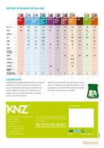 KNZ Leaflet Beef-4