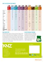 KNZ Leaflet Game-4