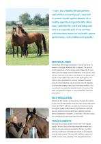 KNZ Leaflet Horse - 2