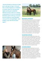 KNZ Leaflet Horse-2