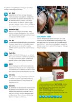 KNZ Leaflet Horse-3