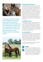KNZ Leaflet Horse-2