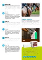 KNZ Leaflet Horse-3