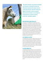 KNZ Leaflet Sheep-2