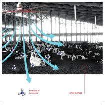 CMP Brochure-9