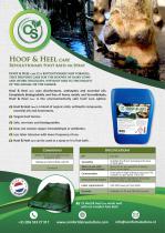 Hoof&Heel-1