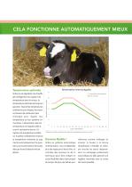 DAL veaux-3
