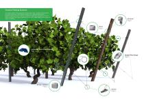 Vineyard Trellising Solutions - 2