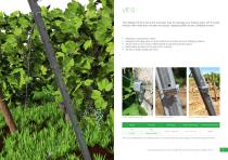 Vineyard Trellising Solutions - 4