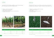 Vineyard Trellising Solutions - 5