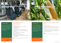 Maize Variety Portfolio 2024 - 12