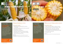 Maize Variety Portfolio 2024 - 9