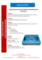 Product Brochure-11