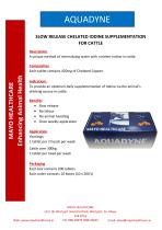 Product Brochure-12