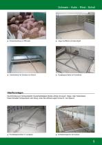Schwein · Huhn · Rind · Schaf-5