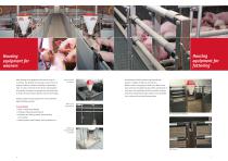 Pig farming-4