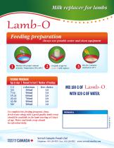 lambo-2
