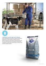 Sprayfo calf rearing brochure - 15