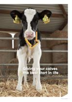 Sprayfo calf rearing brochure - 3